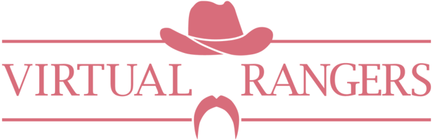 Virstual Rangers